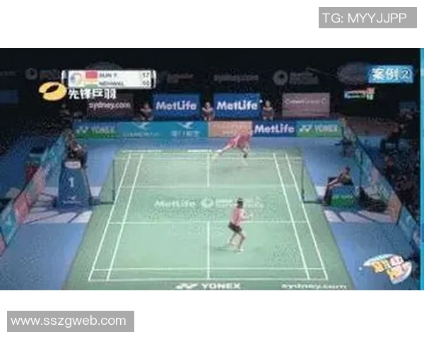 南京羽毛球队反击战术深度解析与实战应用探讨