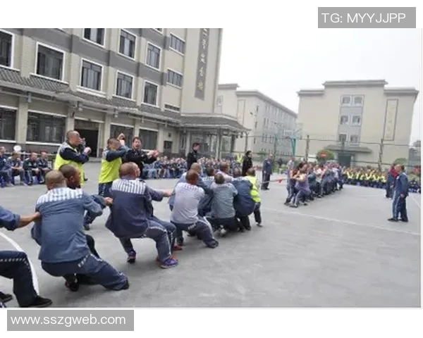 武汉乒乓球队在联合会杯中的拼搏历程与辉煌成就全景回顾